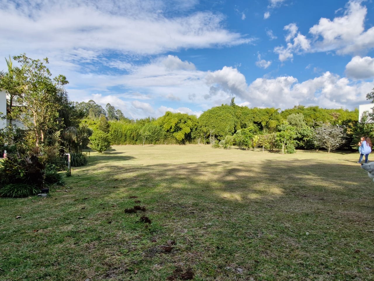 Land in Cabeceras de llanogrande (3200 m²) for Sale - 4