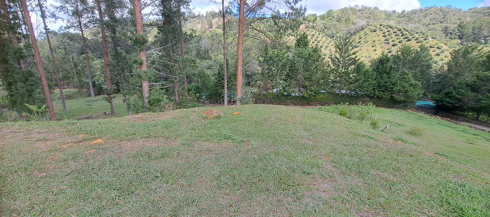 Land in Don diego for Sale