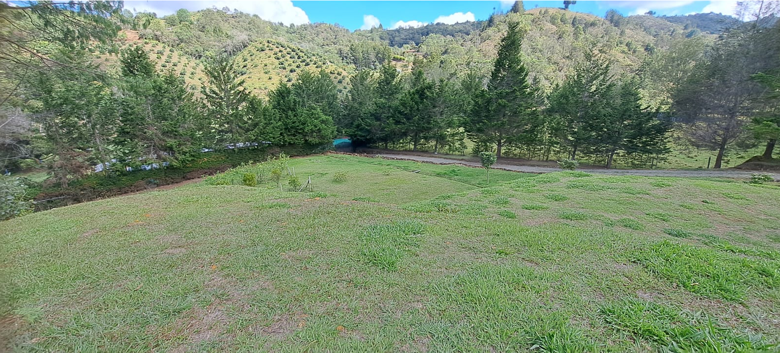 Land in Don diego for Sale - 2