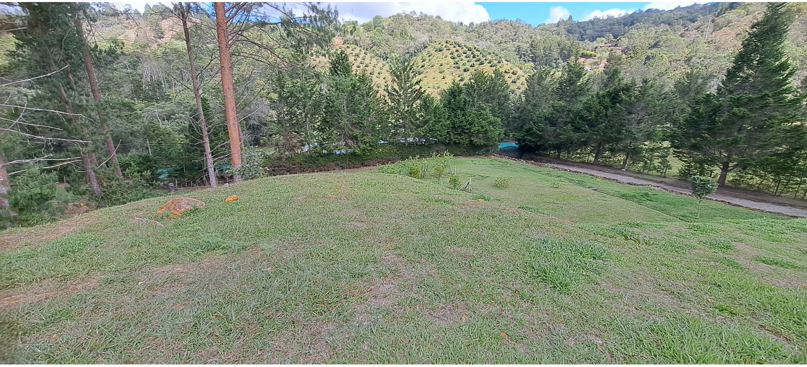 Land in Don diego for Sale - 3