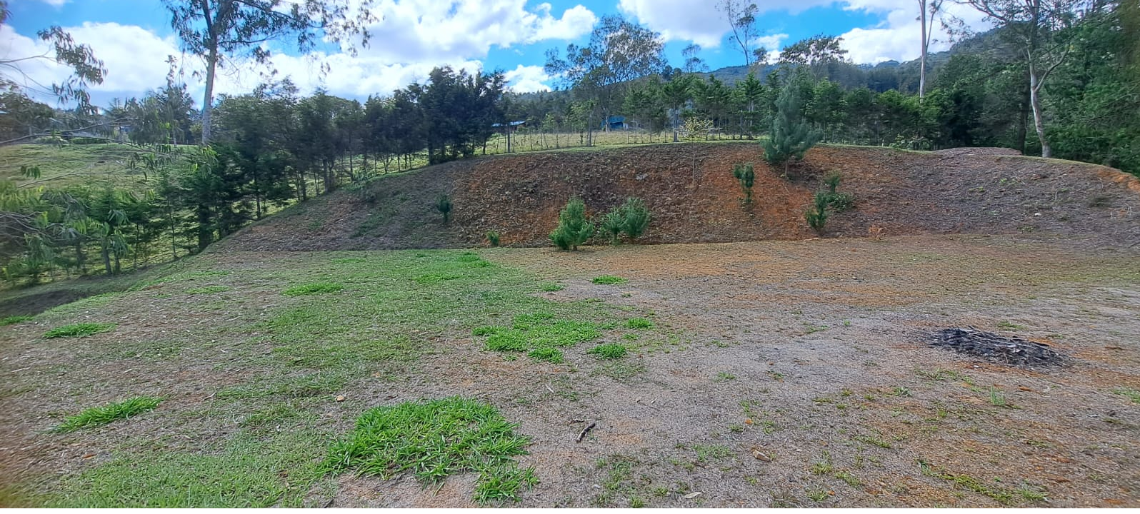 Land in Don diego for Sale - 4