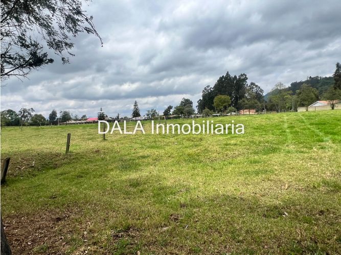 Lote en venta en Fonquetá, Chía, 32000 m² · foto 3 de 12