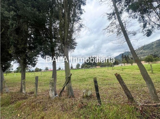 Lote en venta en Fonquetá, Chía, 32000 m² · foto 4 de 12