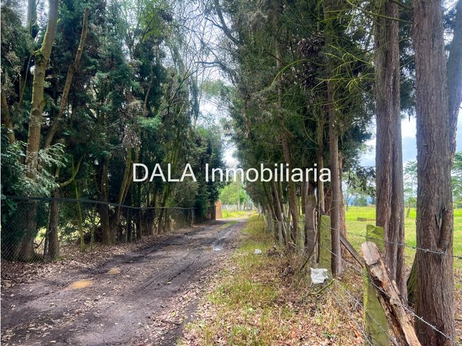 Lote en venta en Fonquetá, Chía, 32000 m² · foto 7 de 12