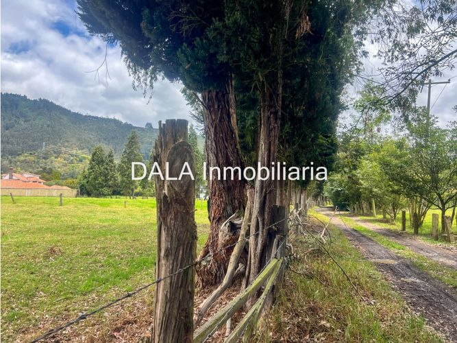 Lote en venta en Fonquetá, Chía, 32000 m² · foto 9 de 12