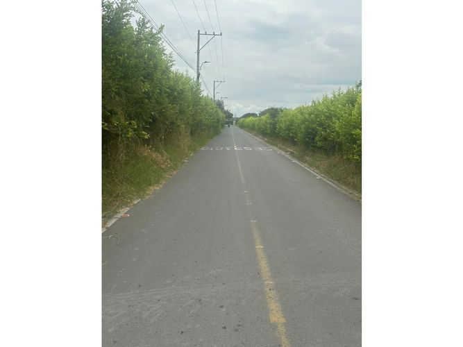 Lote en venta en Matapalo, Palmira · foto 6 de 8