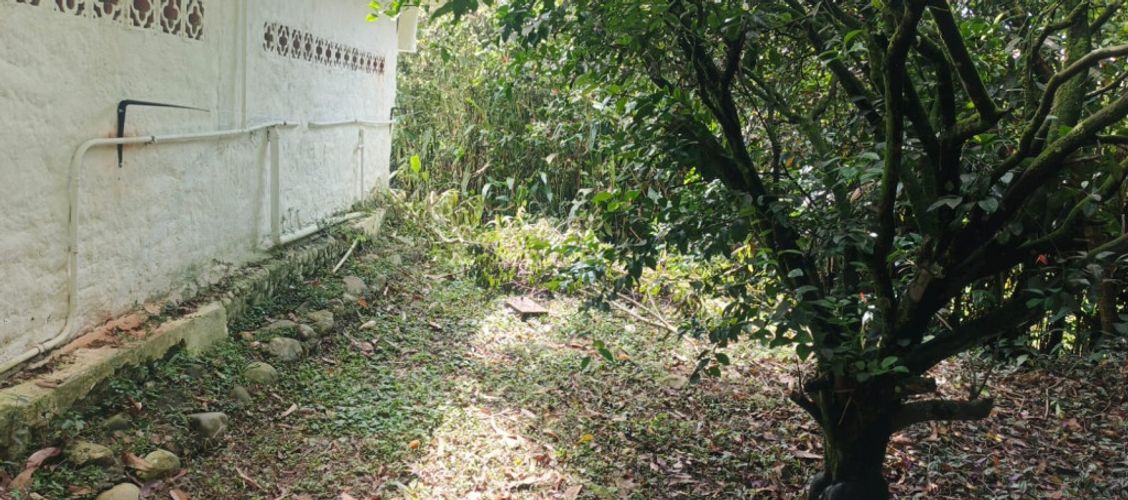 Apartaestudio en arriendo en Alfaguara, Jamundí, 40 m² · foto 20 de 22