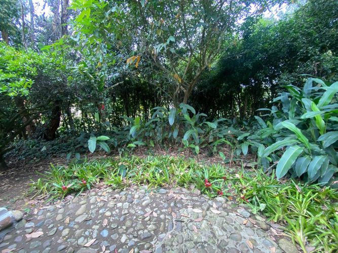 Apartaestudio en arriendo en Alfaguara, Jamundí, 40 m² · foto 22 de 22