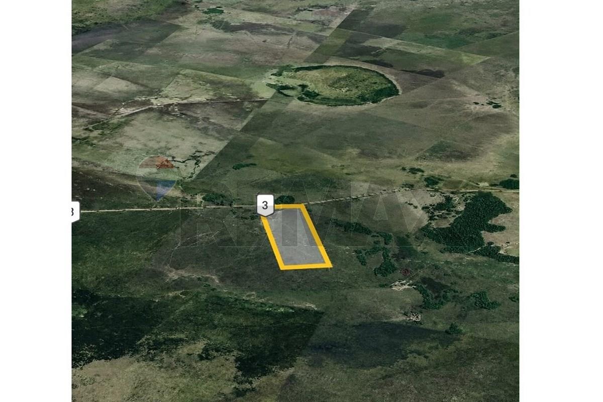 200 HA SOBRE RUTA LLEGANDO A 25 DE DICIEMBRE, EN VENTA — foto 2