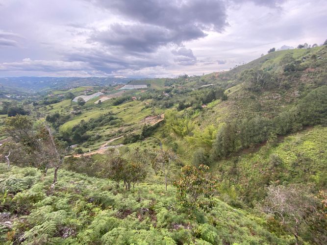 Lote en venta en El Carmelo, Marinilla · foto 15 de 19