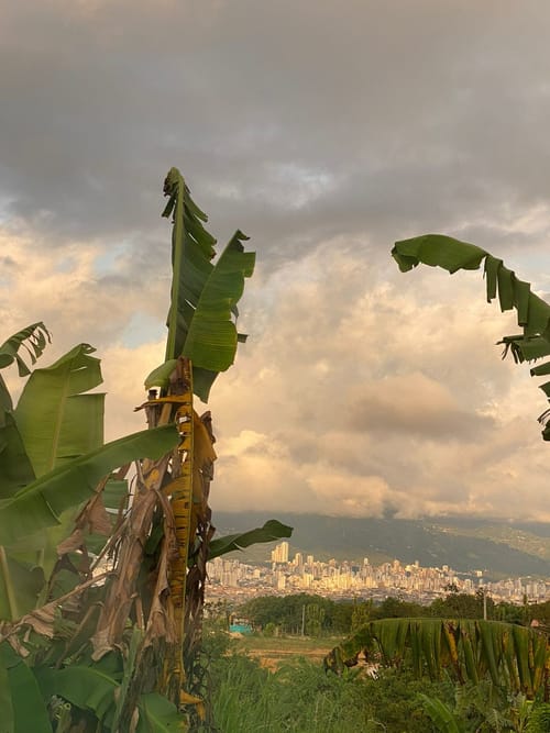 Casa de 6 alcobas en venta en San Francisco, Bucaramanga, 600 m² · foto 22 de 22