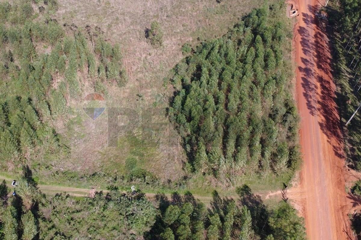 ESTANCIA / CAMPO DE 74 HECTÁREAS EN CAAZAPÁ EN VENTA — foto 3