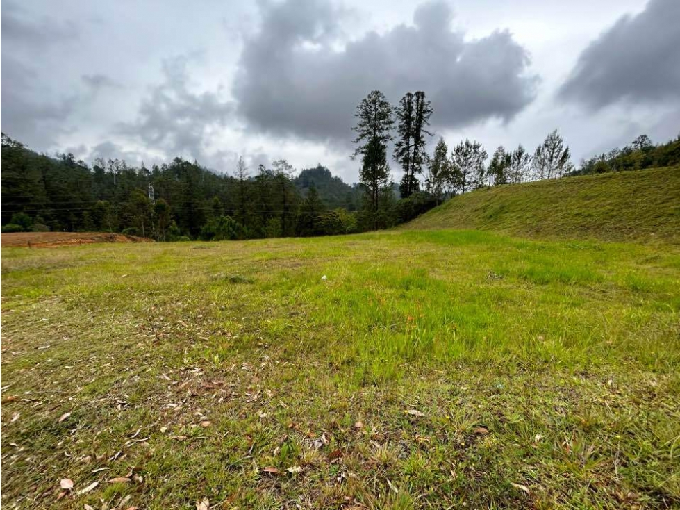 Land in El portento for Sale
