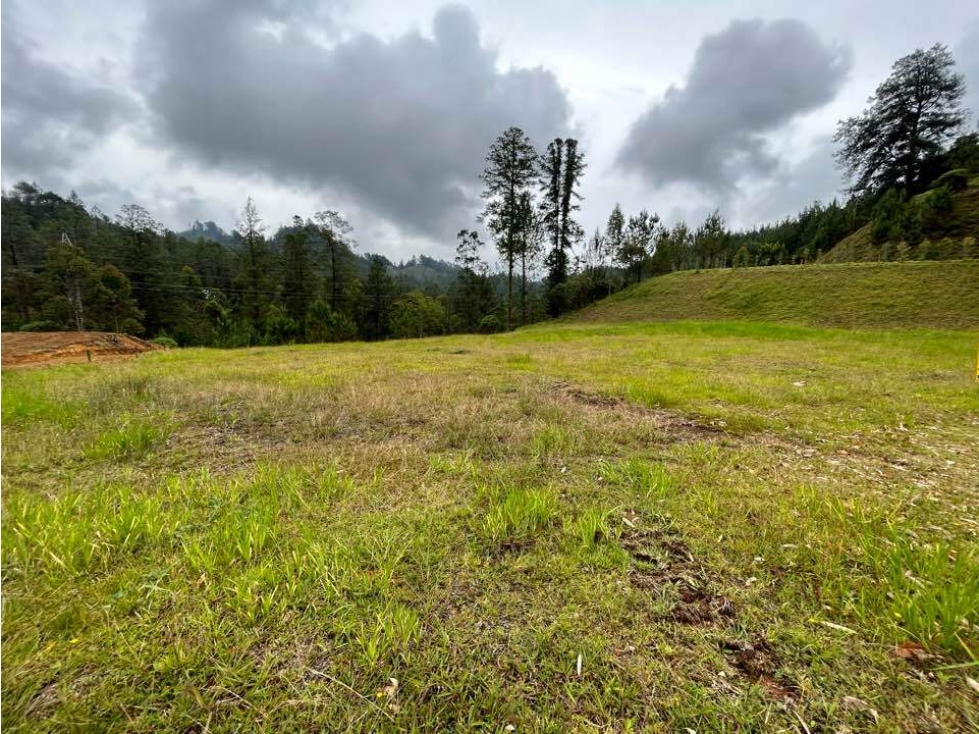 Land in El portento for Sale - 2