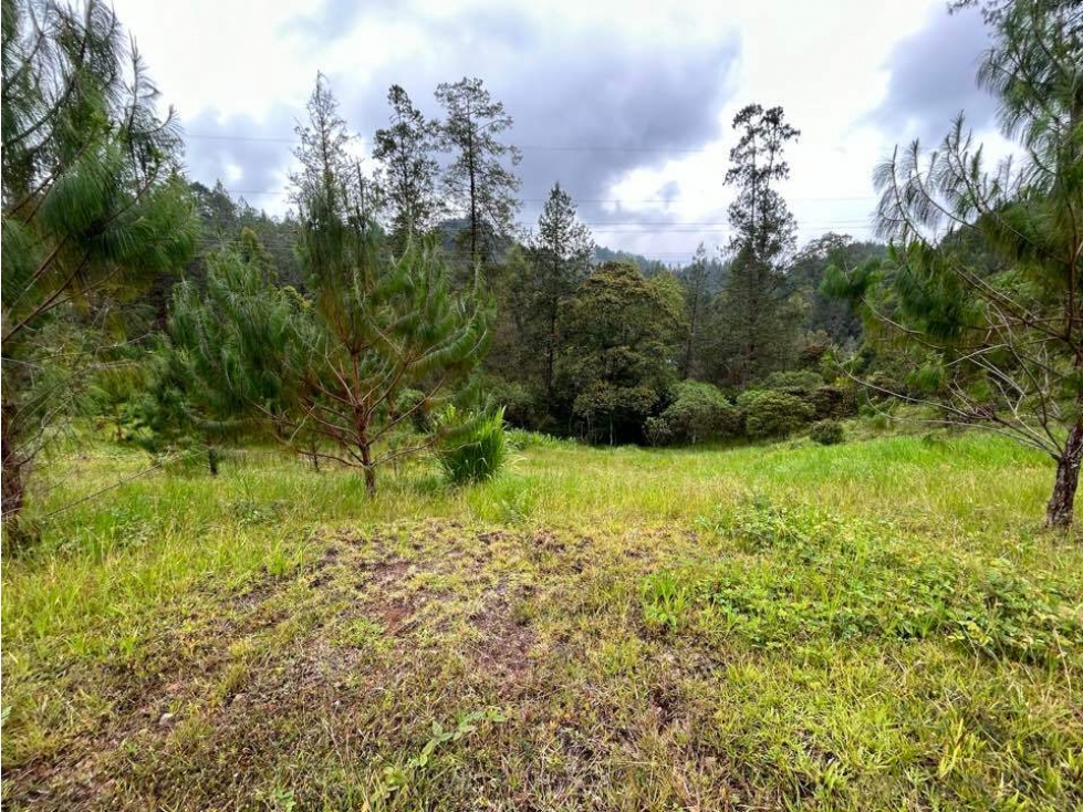 Land in El portento for Sale - 3