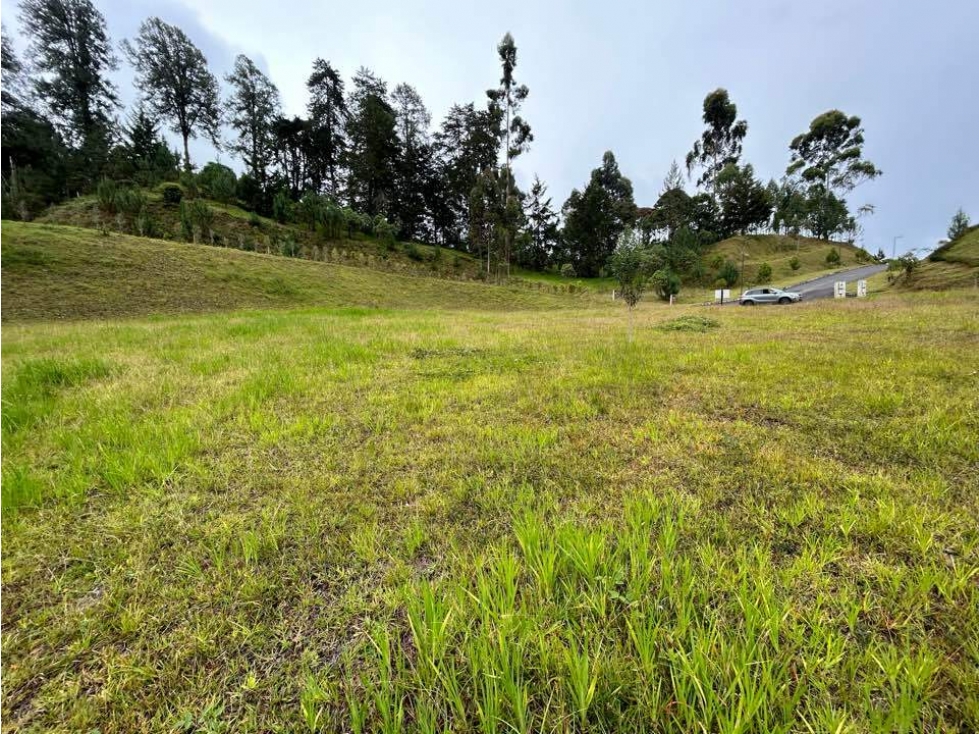 Land in El portento for Sale - 4