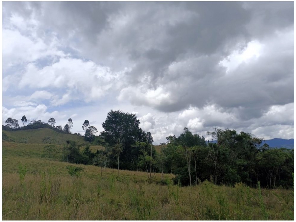 Land in Pantanillo for Sale - 2