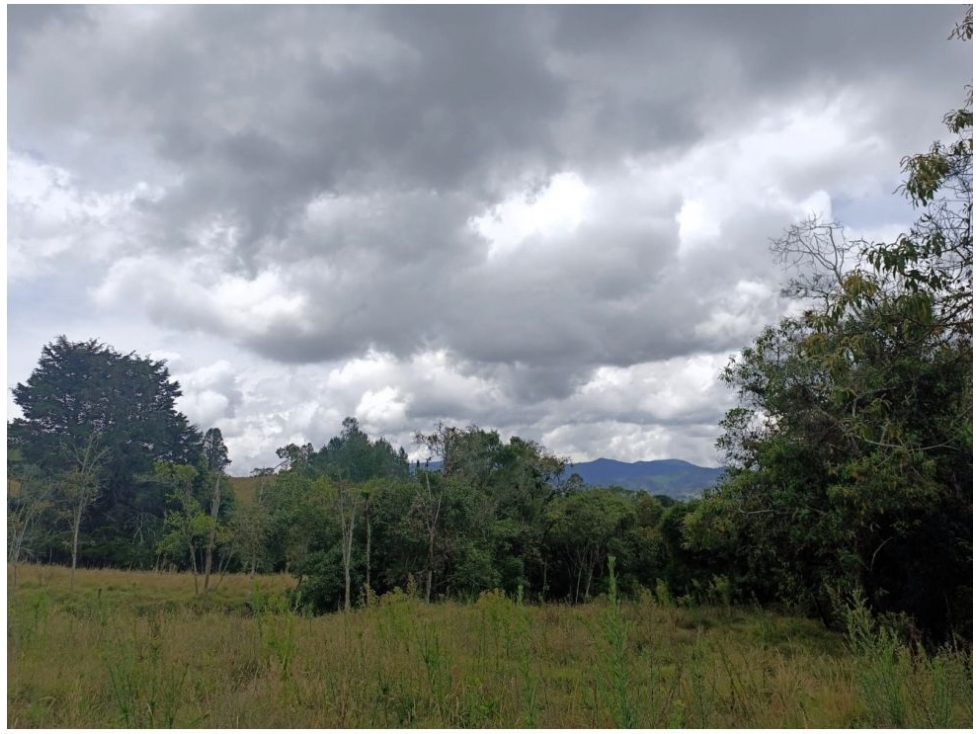 Land in Pantanillo for Sale - 3