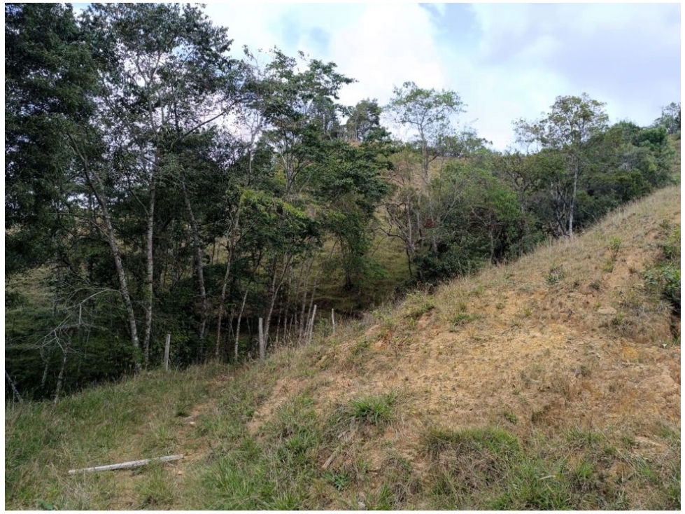 Land in Pantanillo for Sale - 4