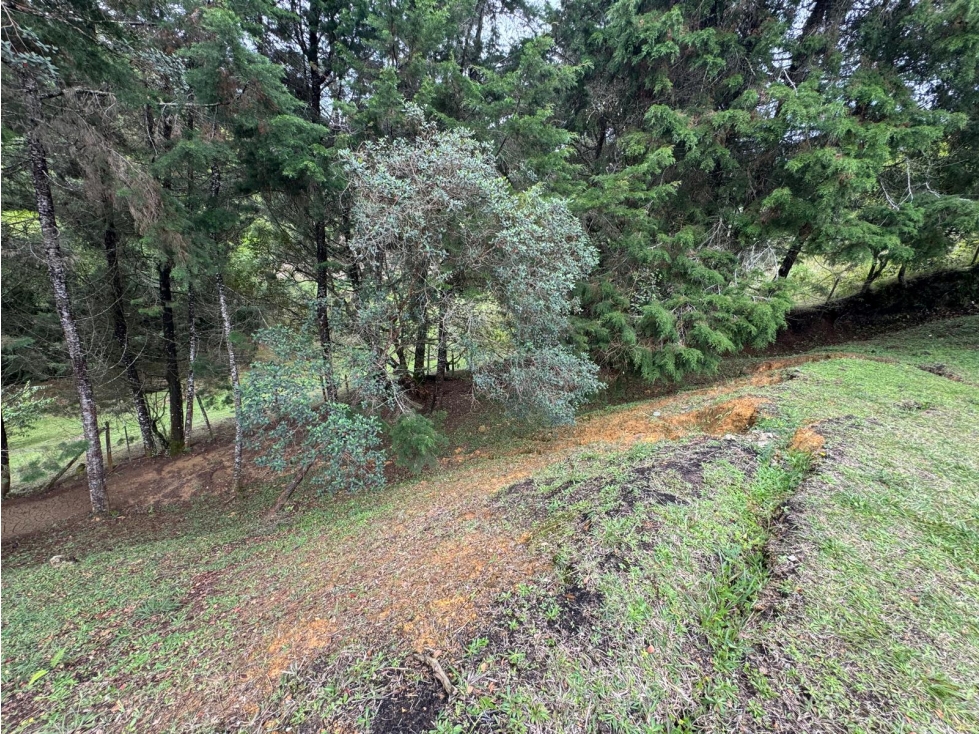 Land in Mampuesto (3072 m²) for Sale - 2