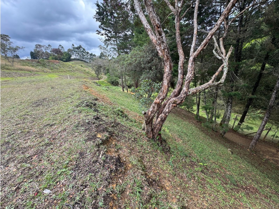 Land in Mampuesto (2345 m²) for Sale - 2