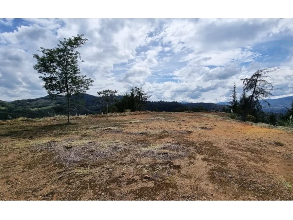 Land in Los salados for Sale - 2