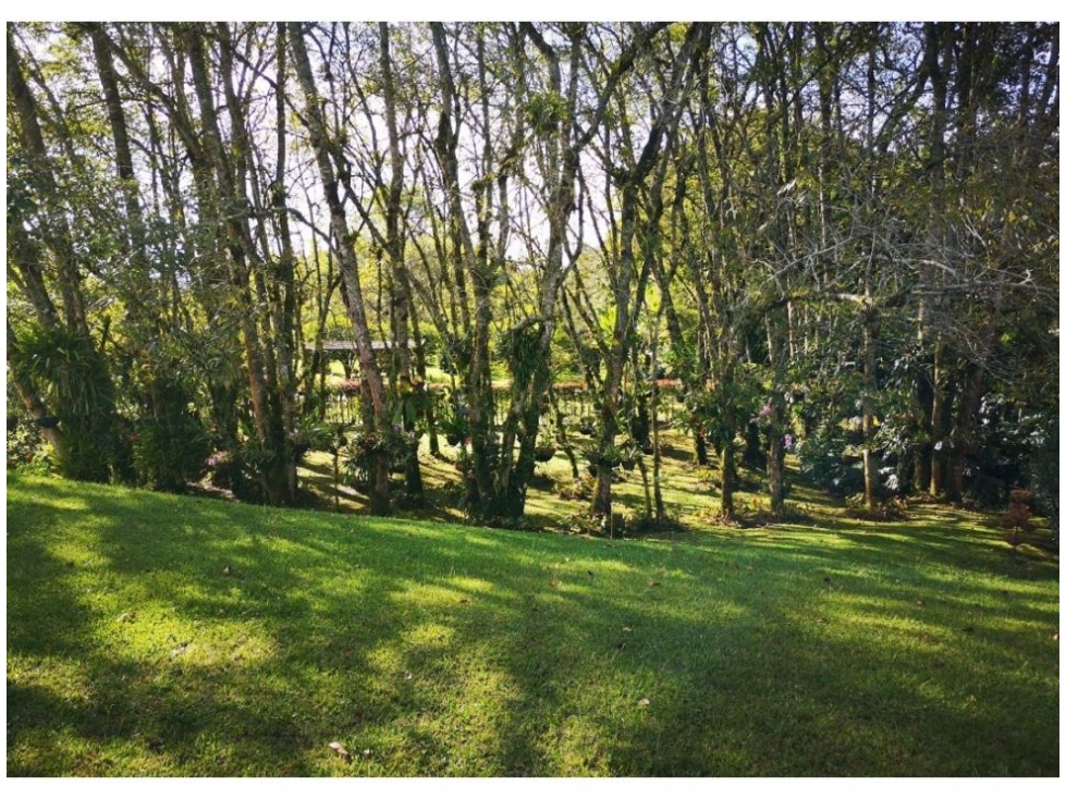 4BR House in La alhambra (450 m²) for Sale - 3
