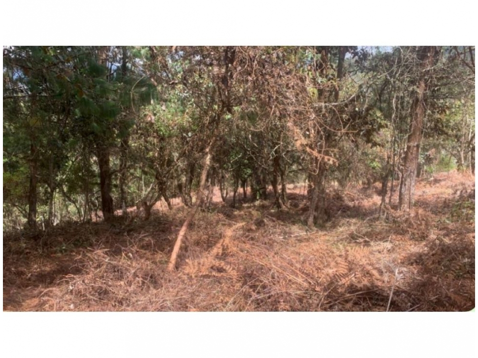 Land in Guayaquil for Sale