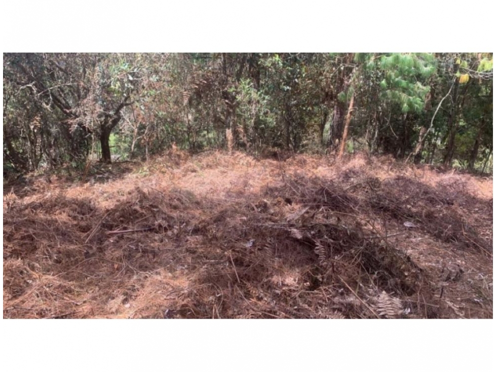 Land in Guayaquil for Sale - 2