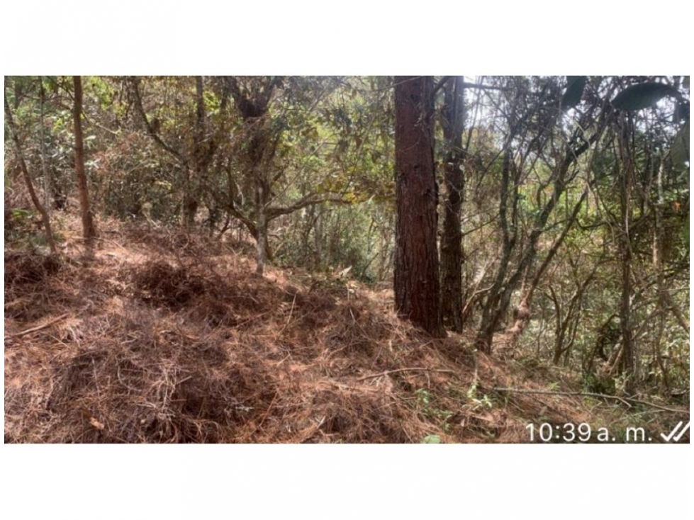 Land in Guayaquil for Sale - 3