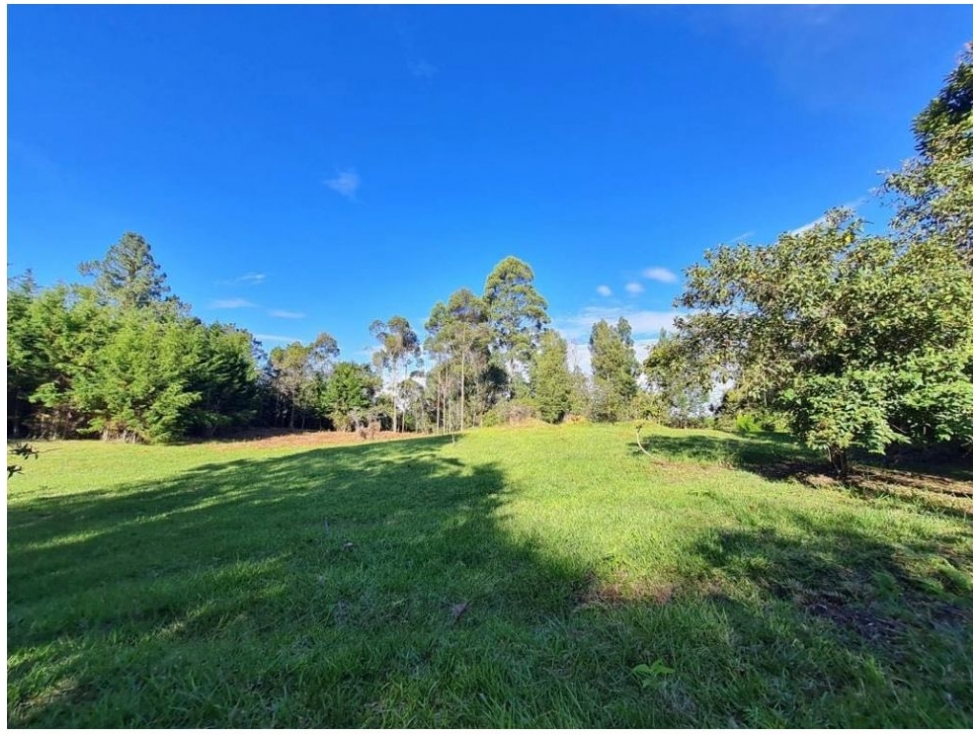 Land in Yarumal for Sale