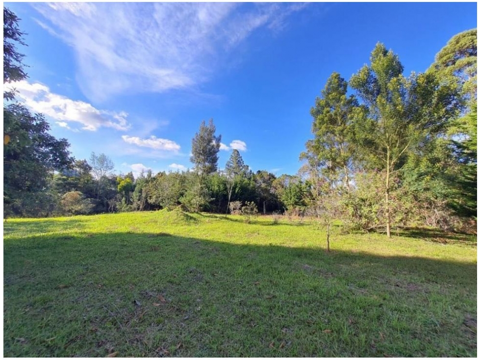 Land in Yarumal for Sale - 2