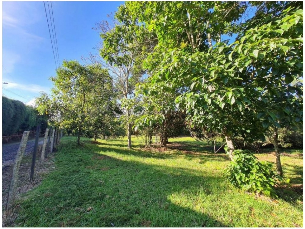 Land in Yarumal for Sale - 3