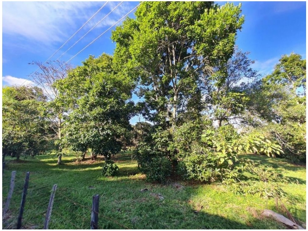 Land in Yarumal for Sale - 4