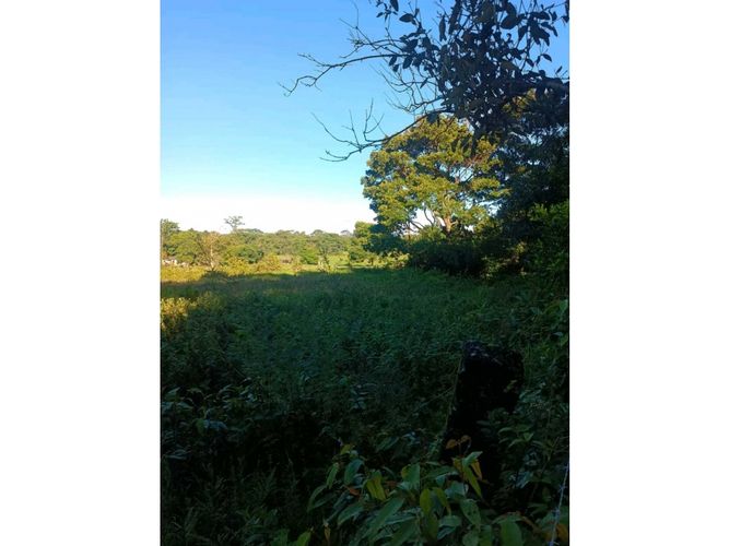 Lote en venta en La Poyata, Villavicencio, 3589 m² · foto 7 de 15