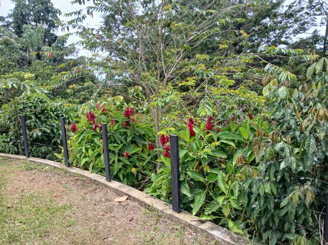 Casa de 5 alcobas en venta en El Tambo, La Ceja, 580 m² · foto 23 de 24