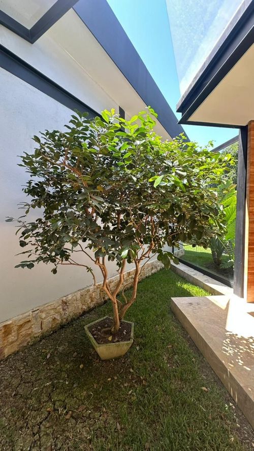 Casa de 4 alcobas en venta en Juan De Ampudia, Jamundí, 500 m² · foto 10 de 14