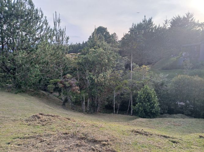 Lote en venta en Guamito, La Ceja · foto 7 de 7