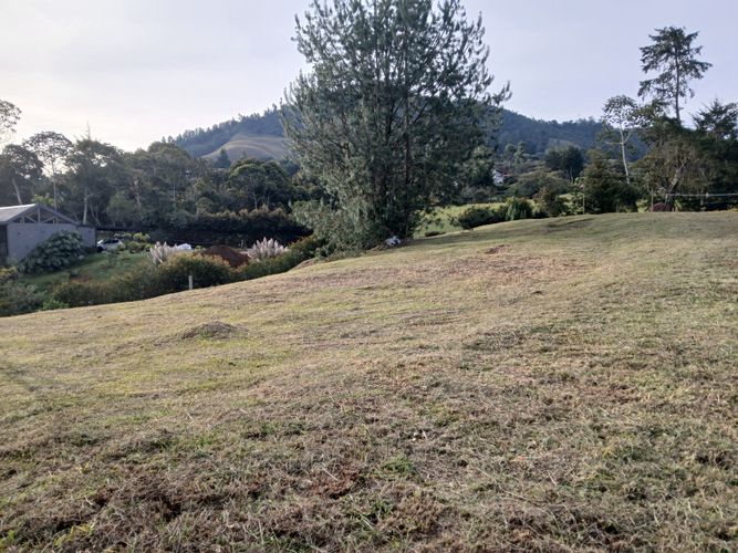 Lote en venta en Guamito, La Ceja · foto 4 de 7