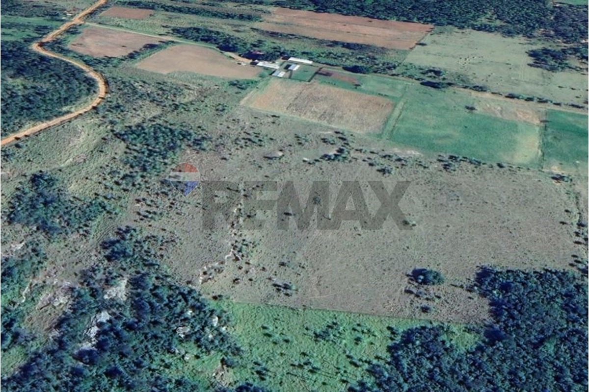 AMPLIO TERRENO 29 HECTÁREAS EN YBYCUÍ - PARAGUARÍ EN VENTA — foto 2