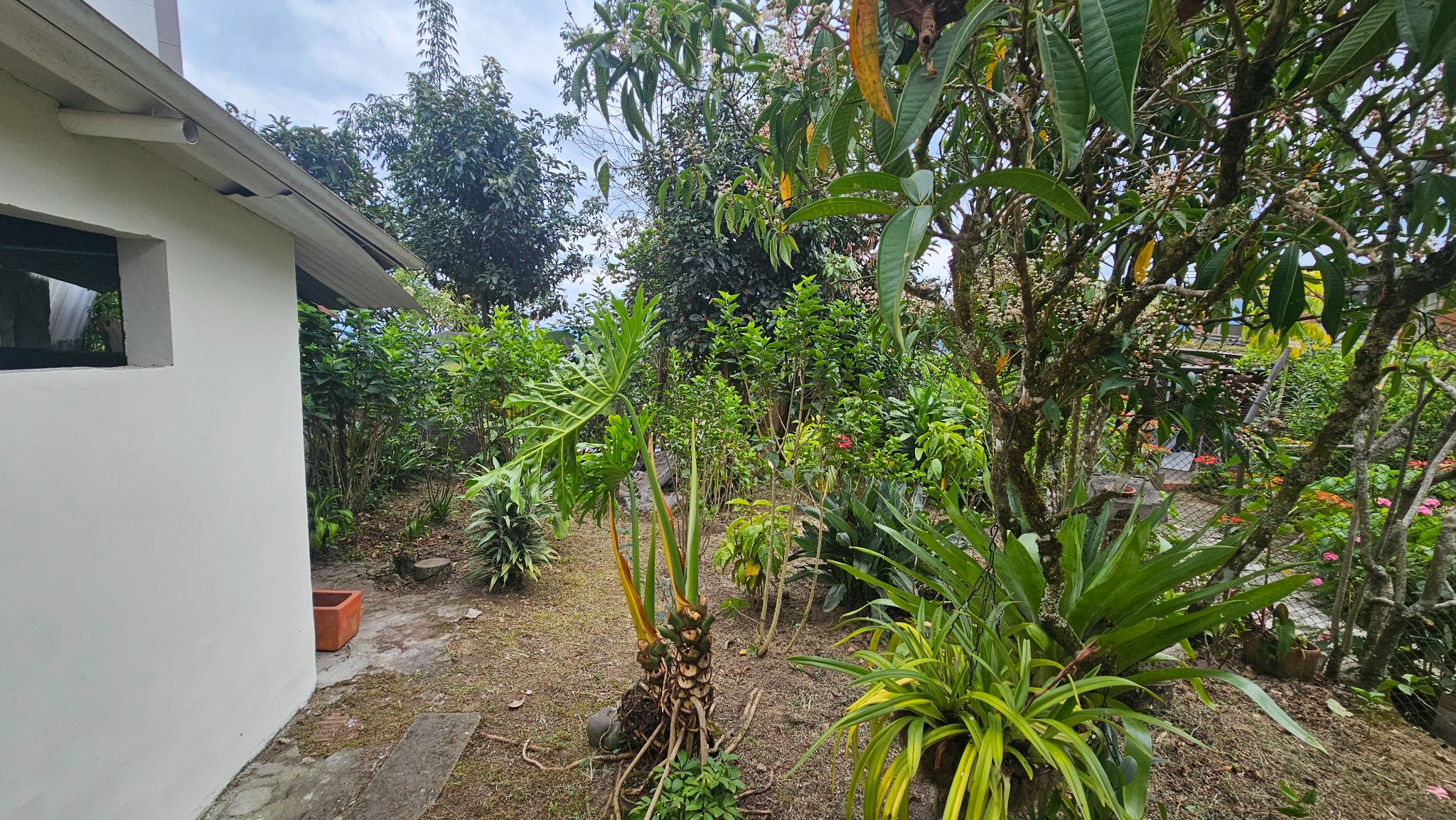 Casa en venta en Chipre, Manizales · foto 2 de 24