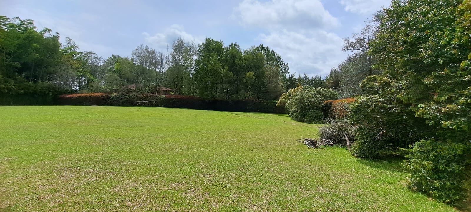 Land in Cabeceras de llanogrande (3201 m²) for Sale