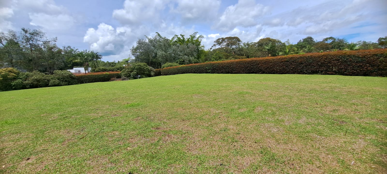 Land in Cabeceras de llanogrande (3201 m²) for Sale - 2