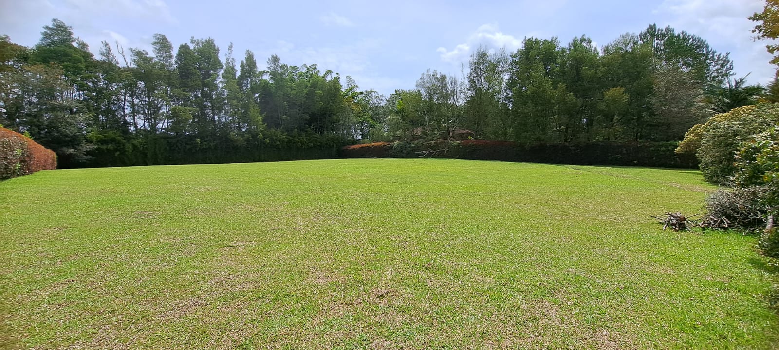 Land in Cabeceras de llanogrande (3201 m²) for Sale - 3