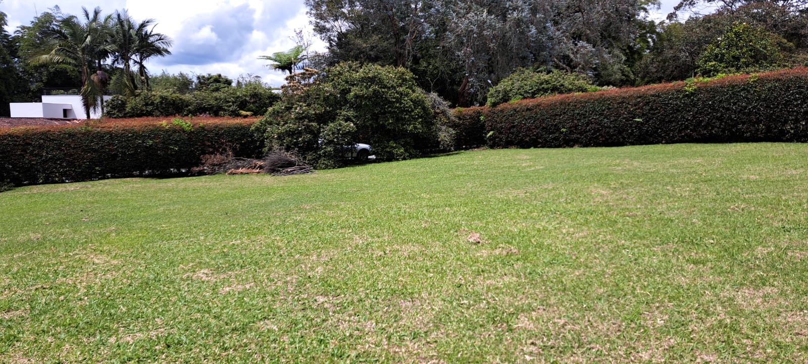 Land in Cabeceras de llanogrande (3201 m²) for Sale - 4