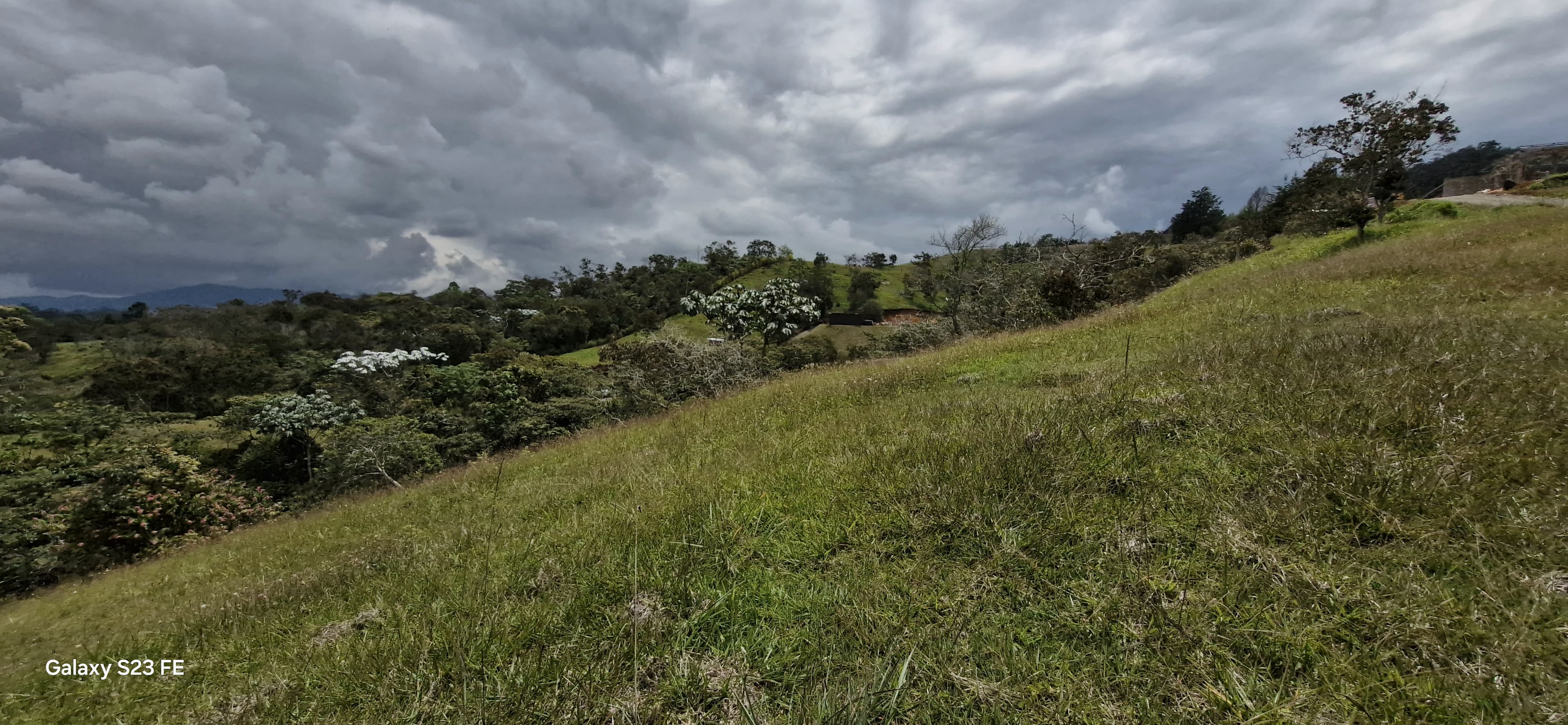 Land in El porvenir for Sale