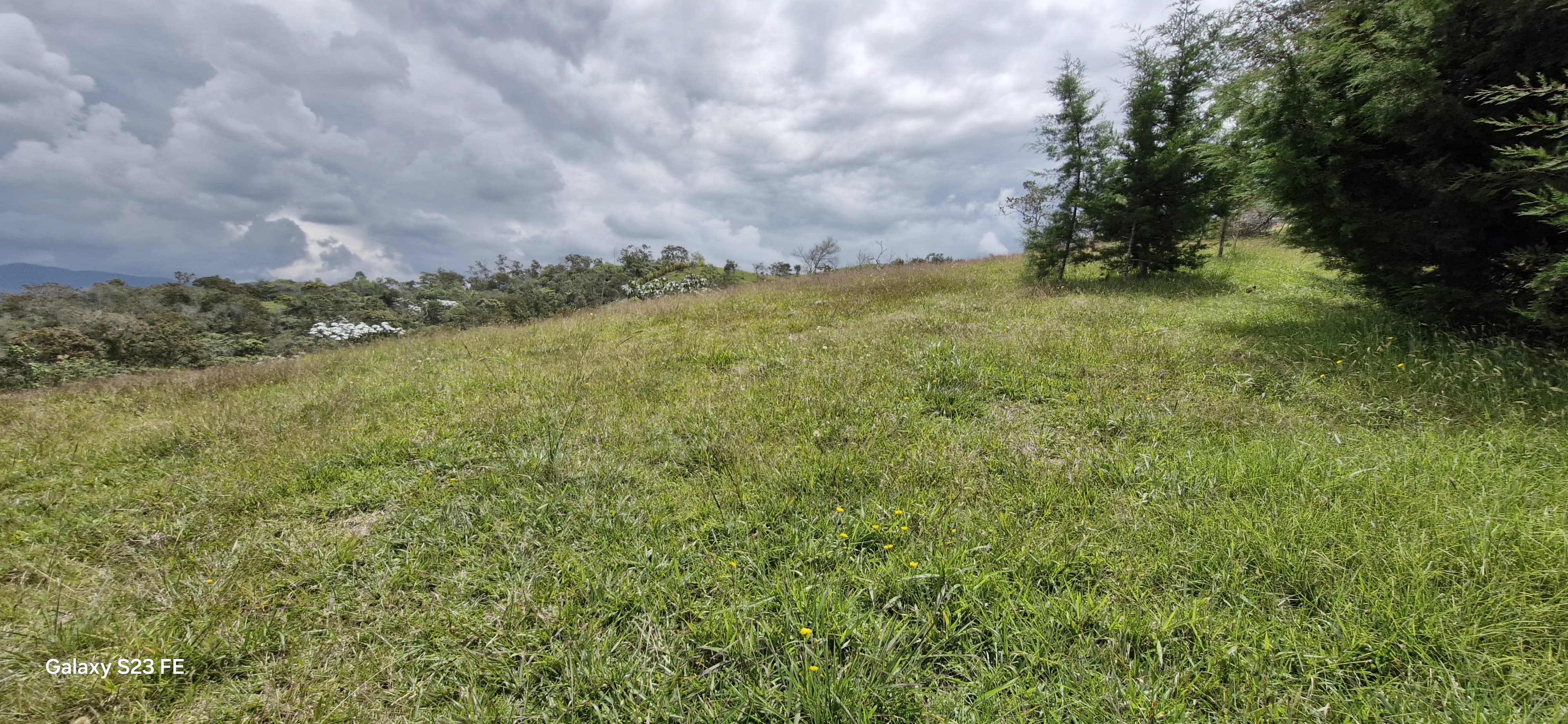 Land in El porvenir for Sale - 3