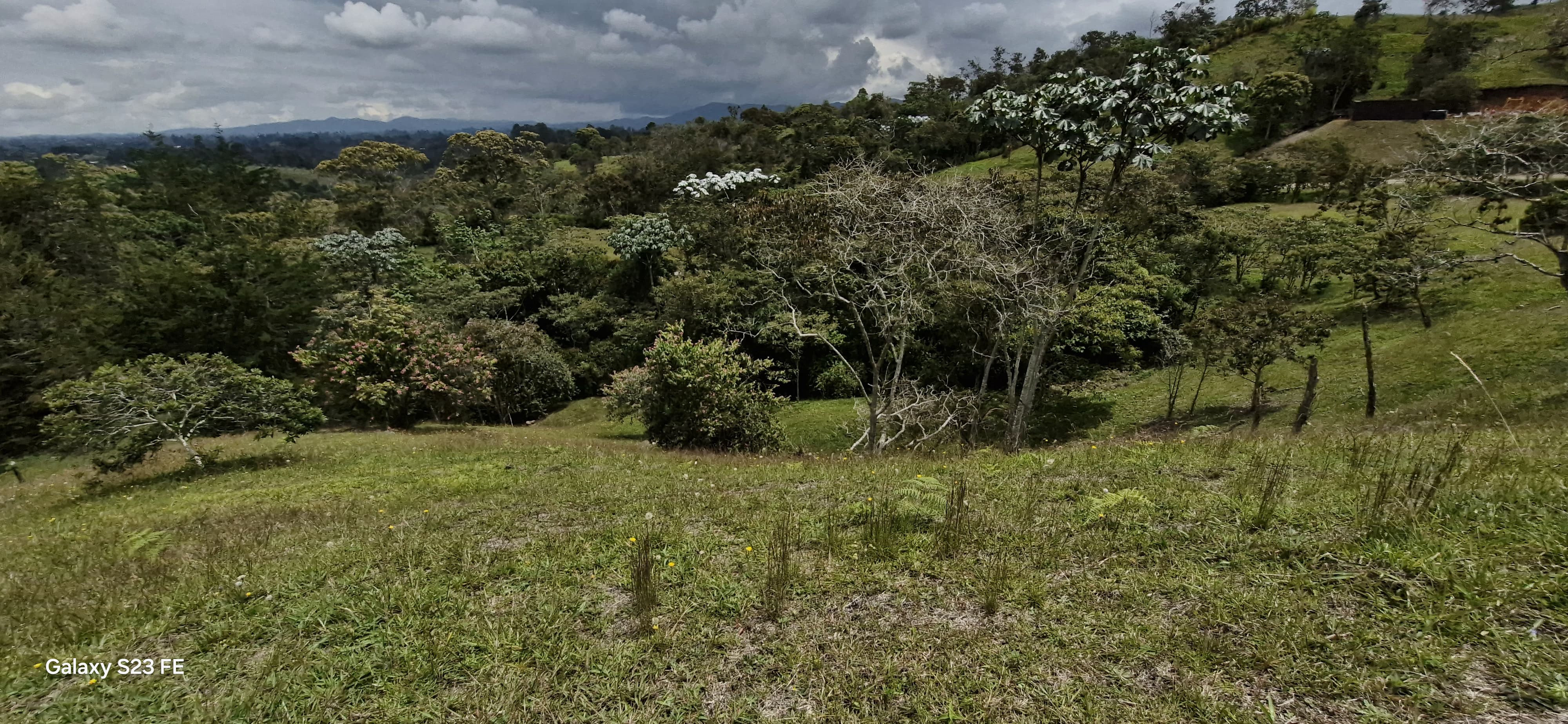 Land in El porvenir for Sale - 4