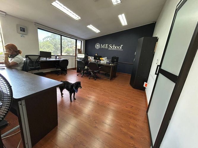 Casa de 7 alcobas en venta en El Poblado, Medellín, 420 m² · foto 13 de 14