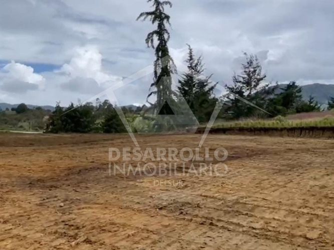 Lote en venta en La Sonadora, El Carmen de Viboral, 2949 m² · foto 4 de 4